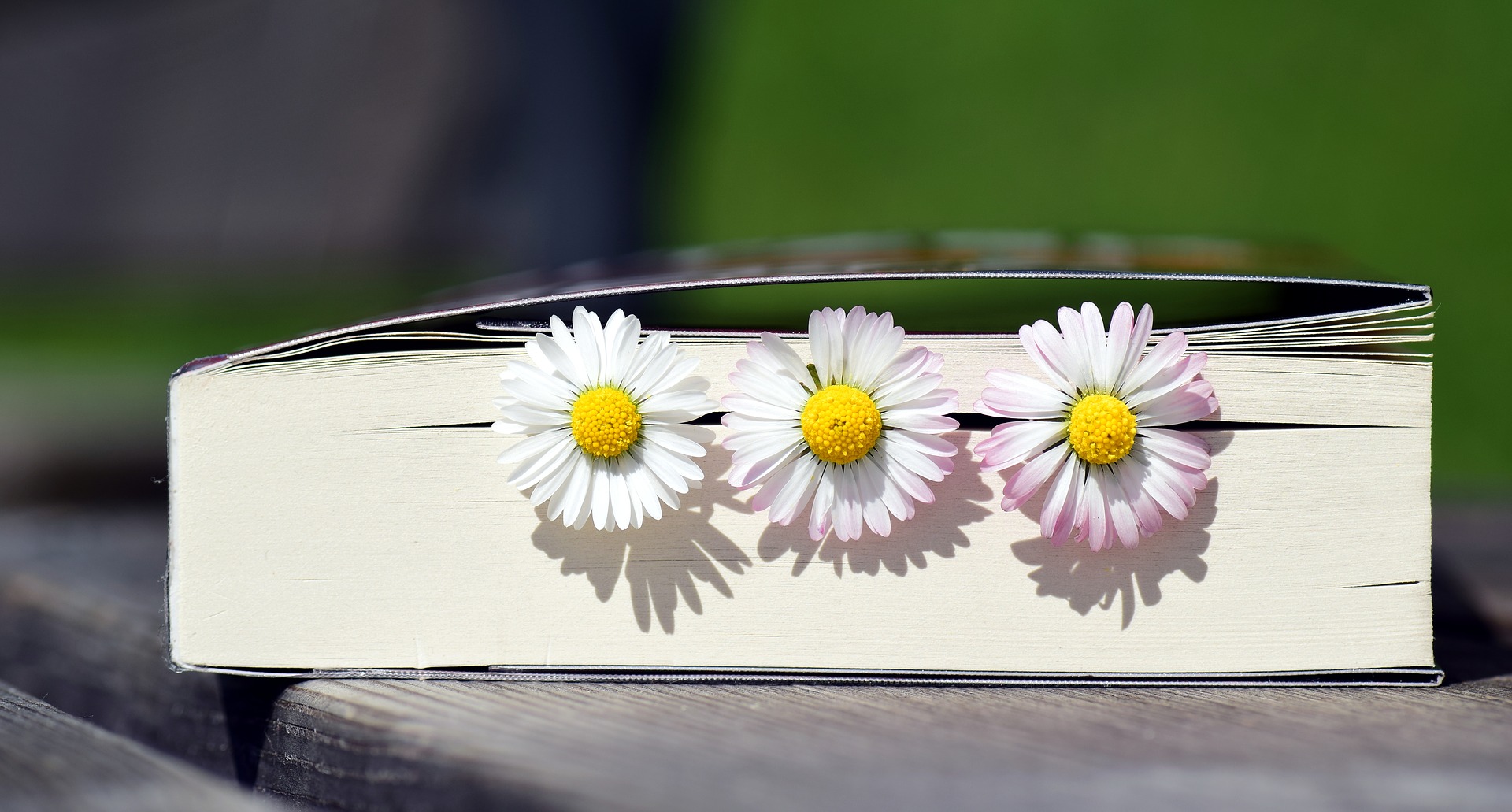 Natural bookmarks