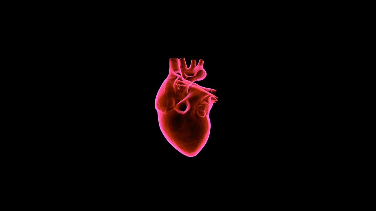 Heart image