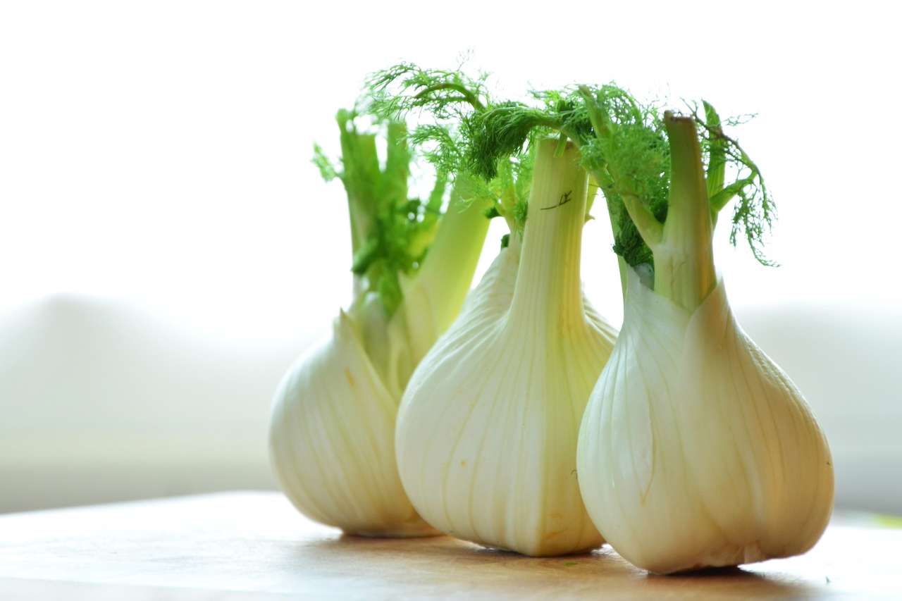 Fennel bulbs