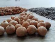Fibre rich pulses and grains
