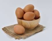 Amazing eggs