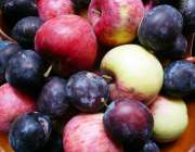 Apples and plums