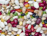 Variety of beans and pulses