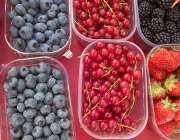 Berry tubs