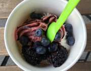 Fruit flavoured, frozen yoghurt